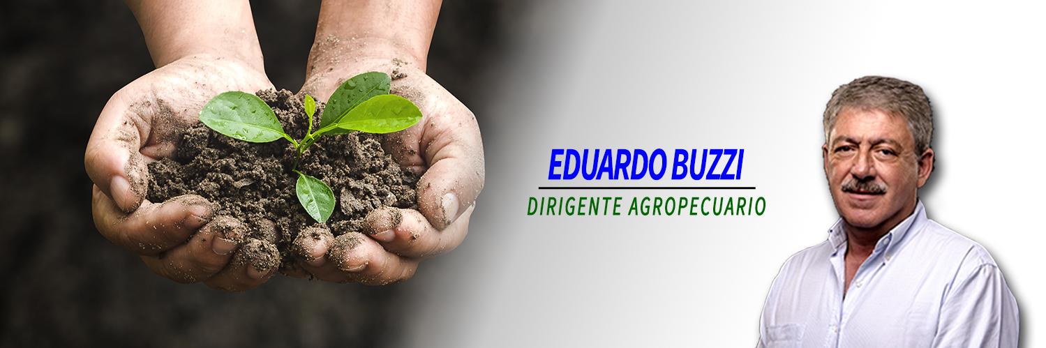 Eduardo Buzzi OK banner