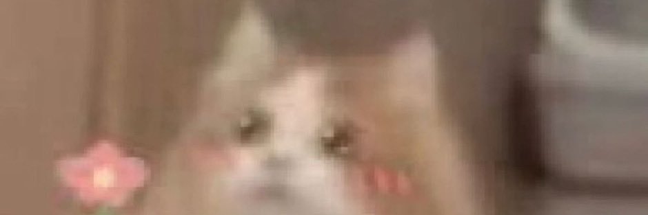 evilyawn's profile banner image