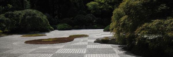 SHooter_TO Profile Banner