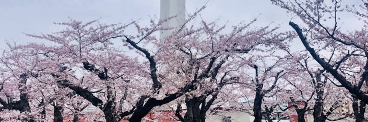 jjaaddmm's profile banner image