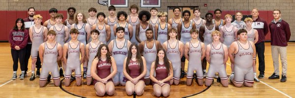 Mechwrestling Profile Banner