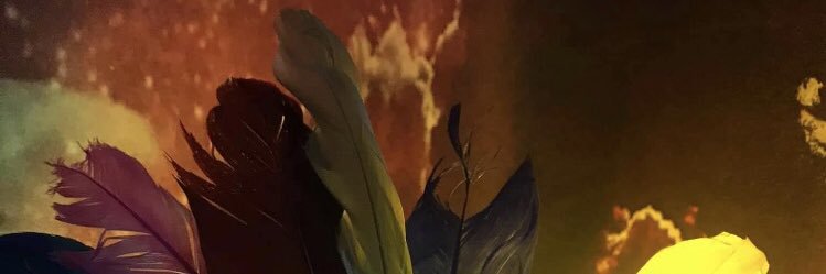 SafiyeKoten's profile banner image