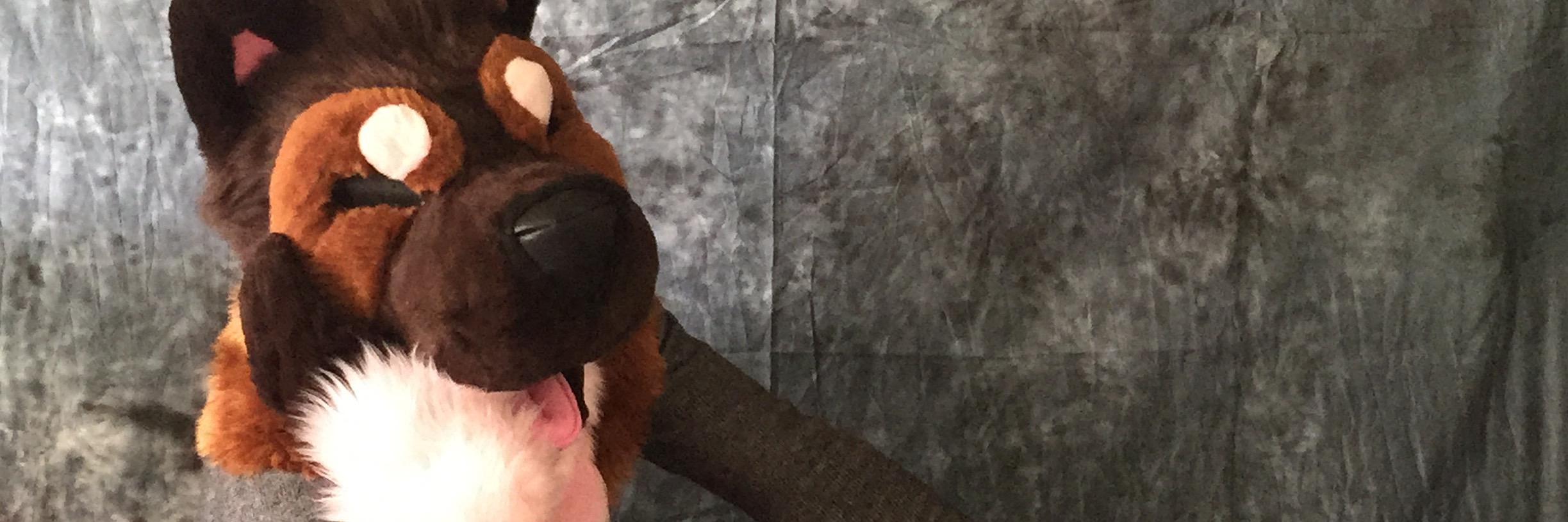 DalmyDoDat's profile banner image