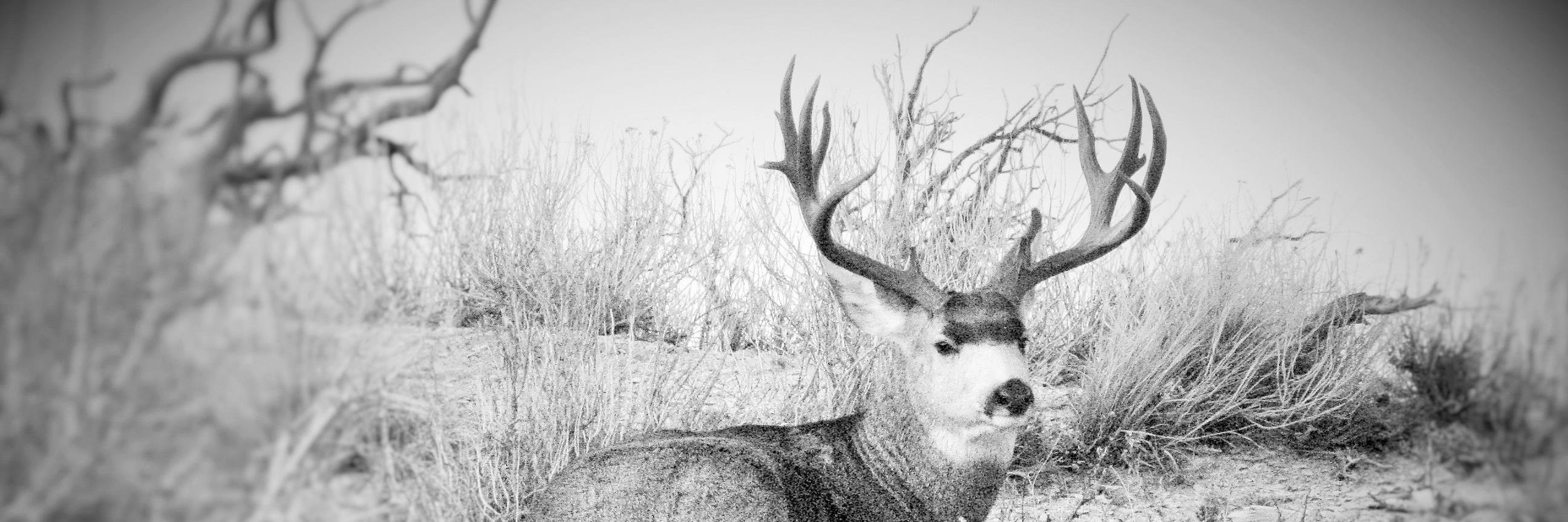 BlayneStJames's profile banner image