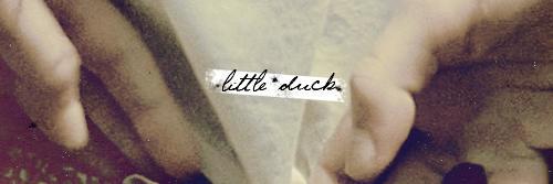 LittleDuck_MJ's profile banner image