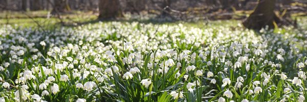 OlomouckyKraj Profile Banner