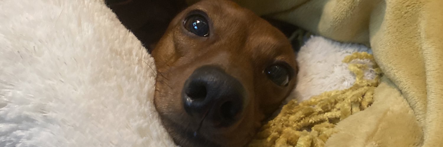 aye_hamel's profile banner image