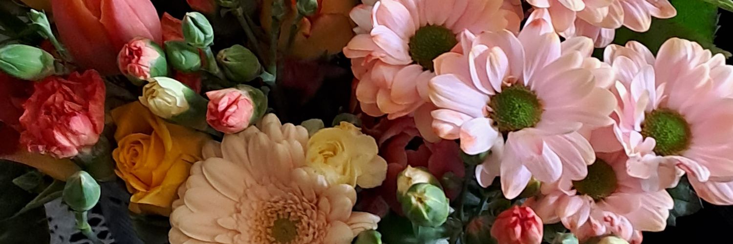 krissfiles57's profile banner image