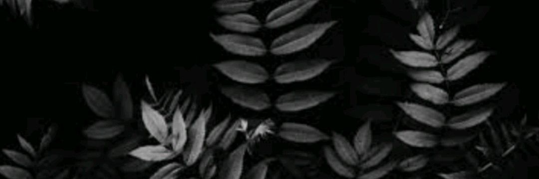 ilyaLara's profile banner image