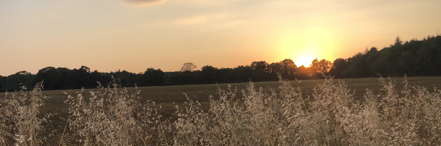 NickiReads_'s profile banner image