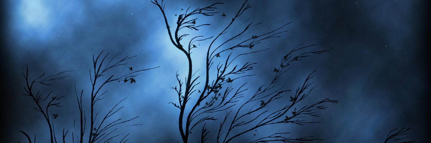 Serial9's profile banner image
