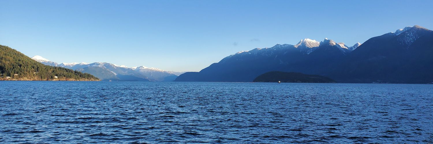 caelst's profile banner image