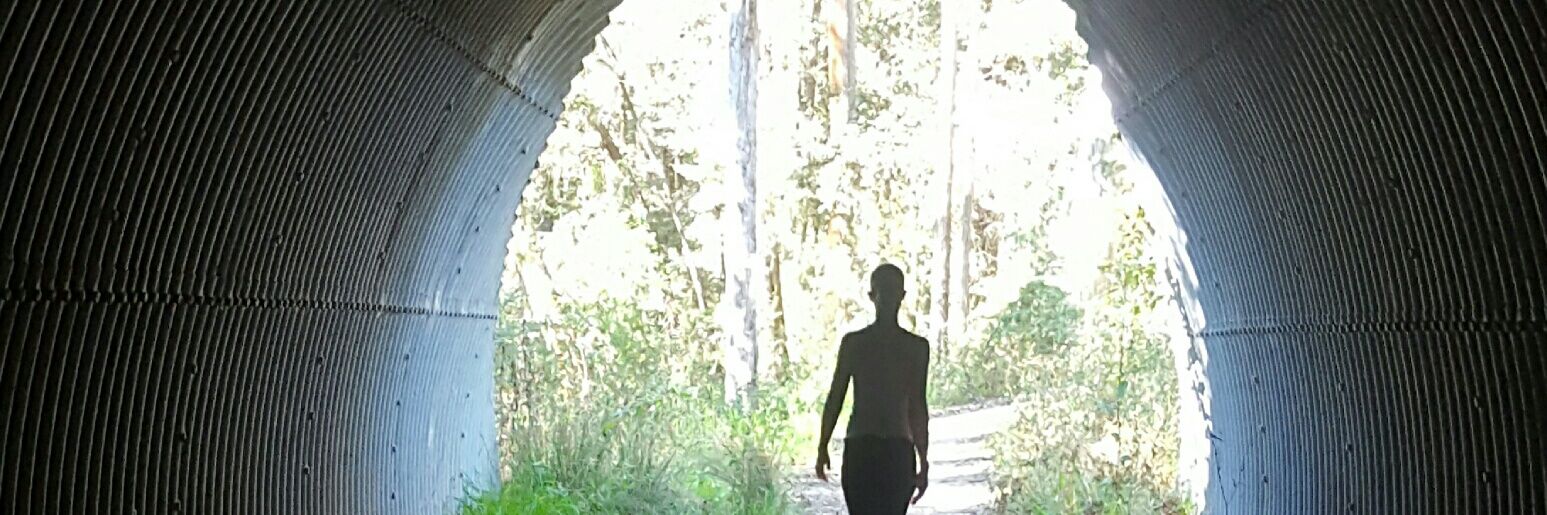 Renee Mitchell banner