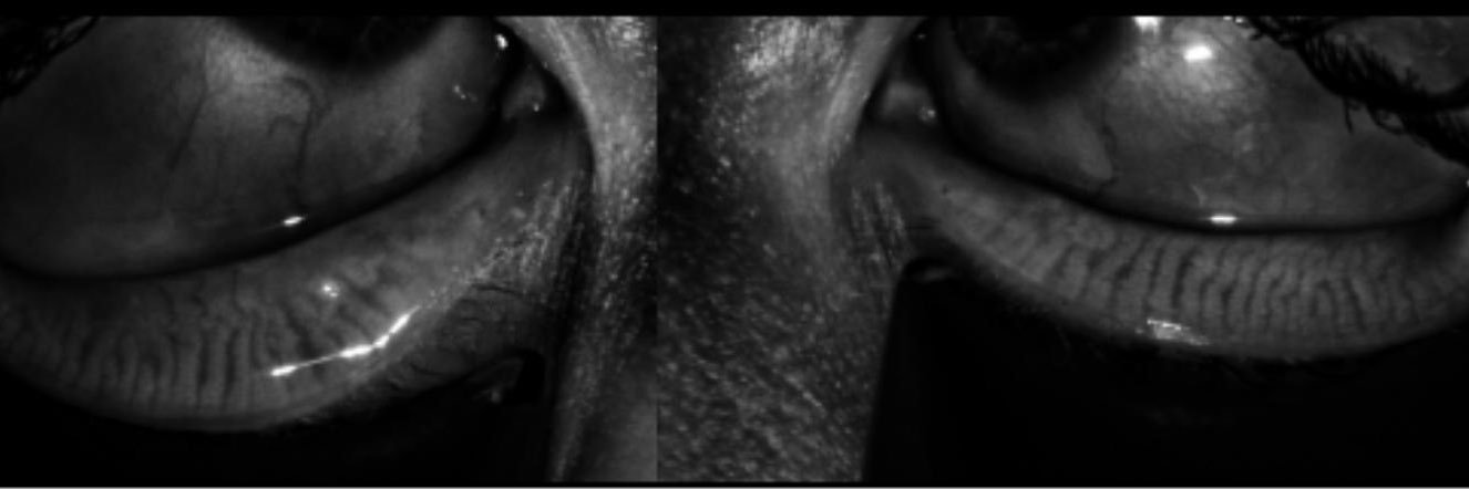 sammyhardesty's profile banner image