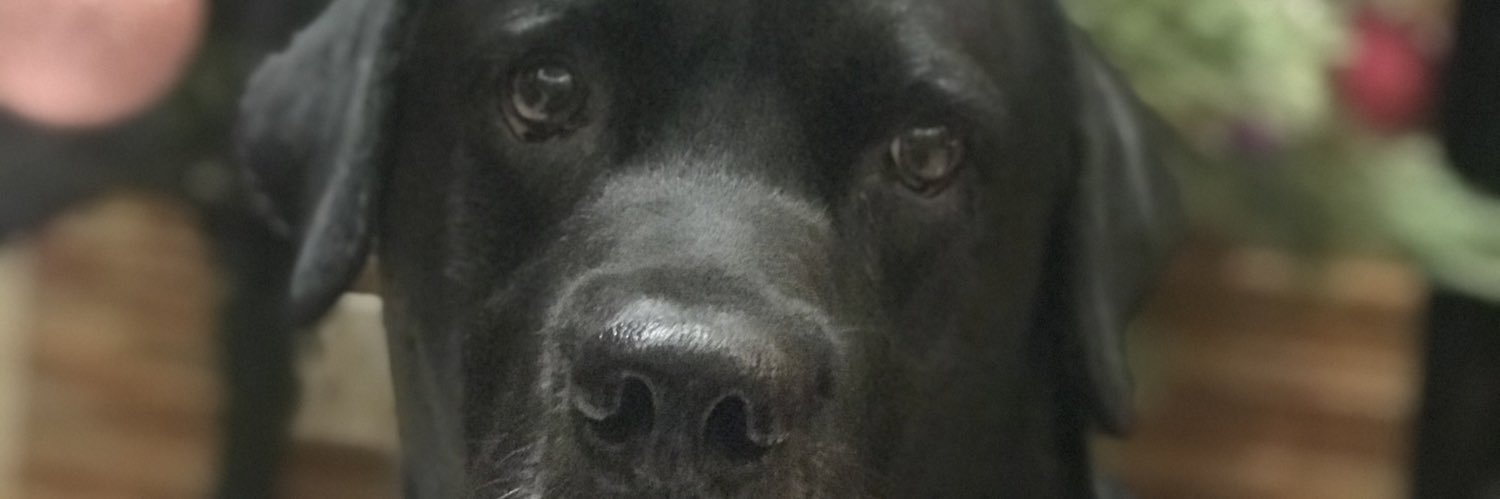 BeDebanjali's profile banner image