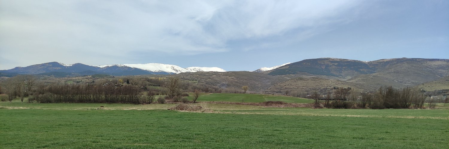 DaniGeis's profile banner image