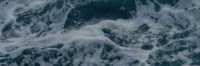 Florpavon5's profile banner image