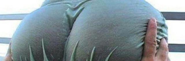 __bodgal's profile banner image