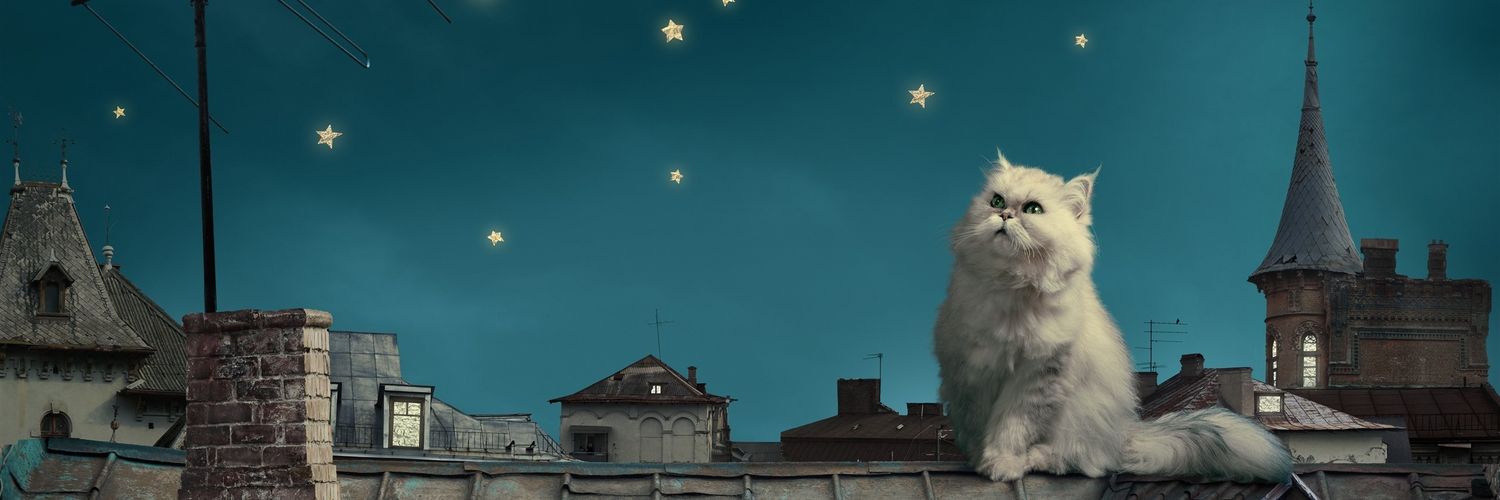 niku08888's profile banner image