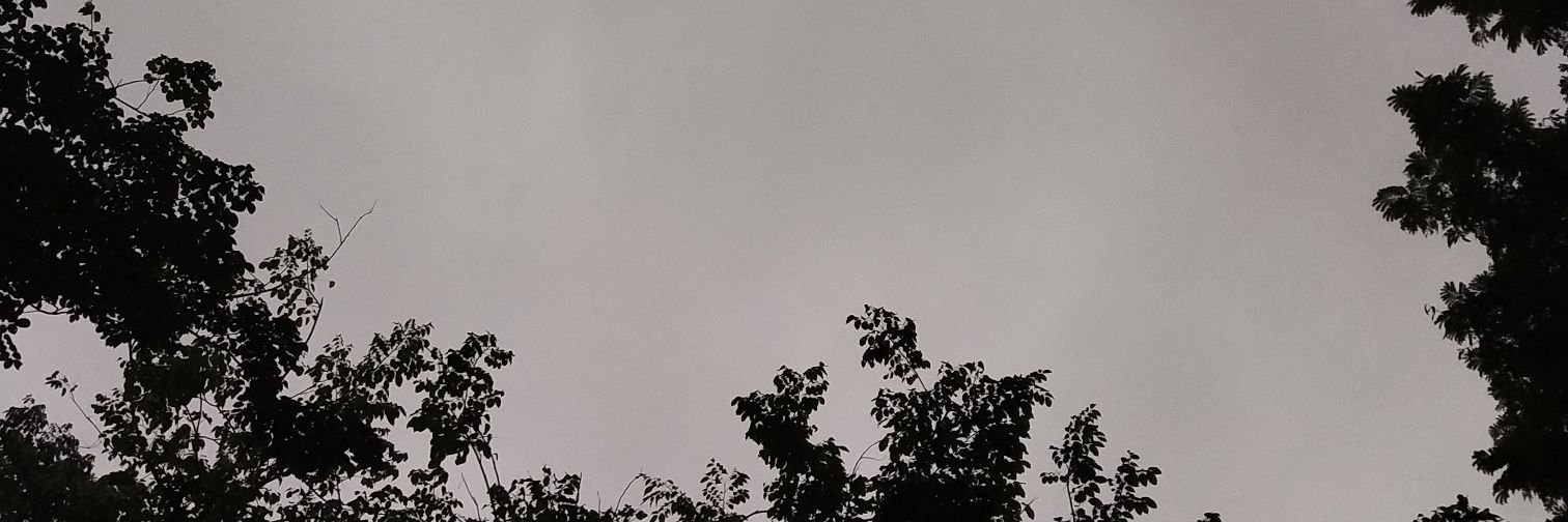 suiwb's profile banner image