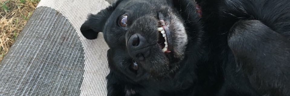 jaydeemsliee's profile banner image