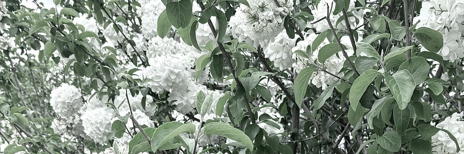 tnIoI's profile banner image
