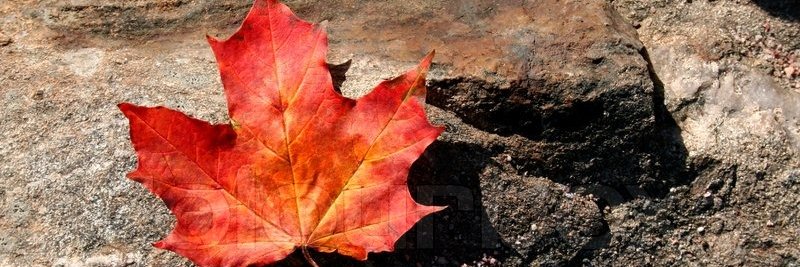 Jerrett DeFazio banner