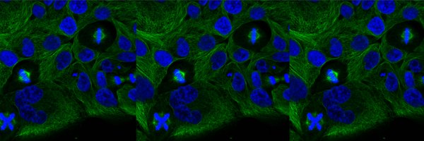 AndrewMWaters Profile Banner