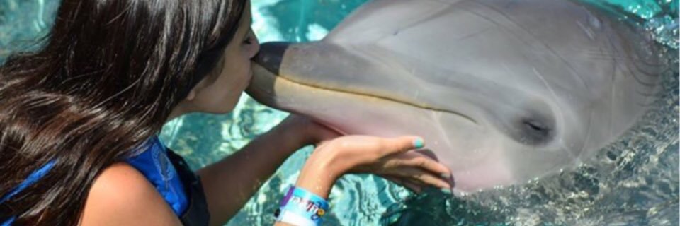 cami_larranaga's profile banner image
