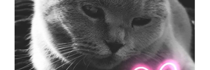 JudgeTess's profile banner image