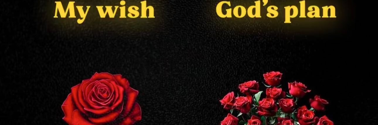_SimplyDria_'s profile banner image