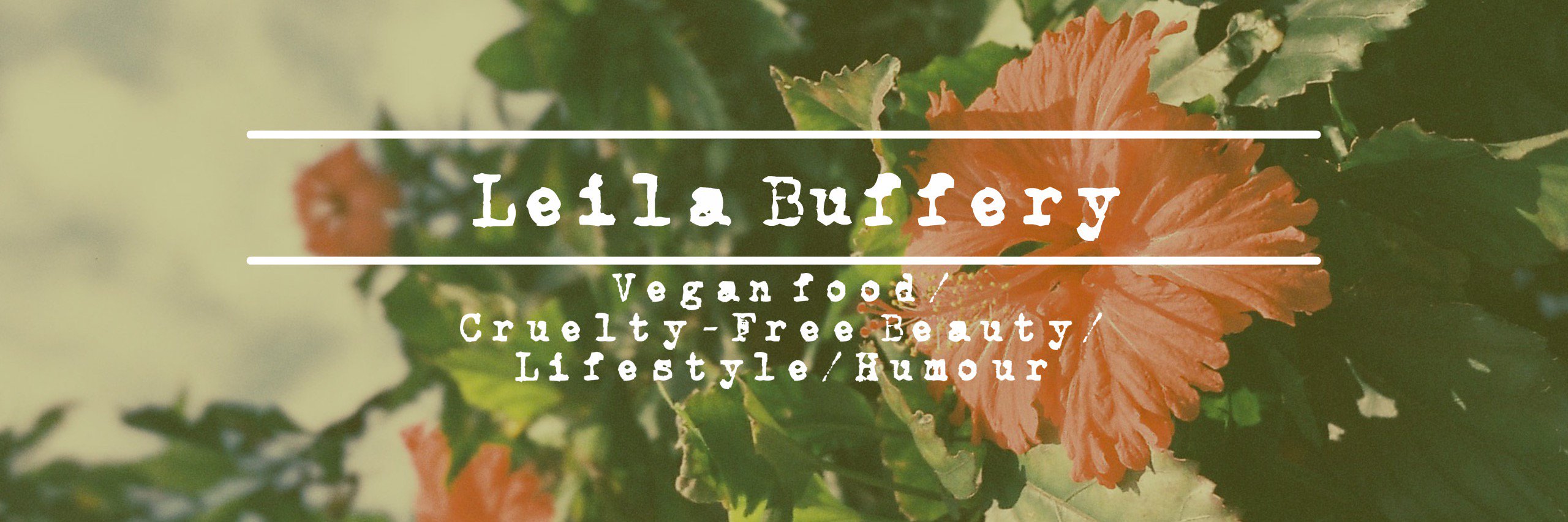 LeilaBuffery's profile banner image