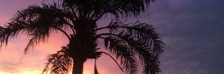 JoniNicocaro's profile banner image