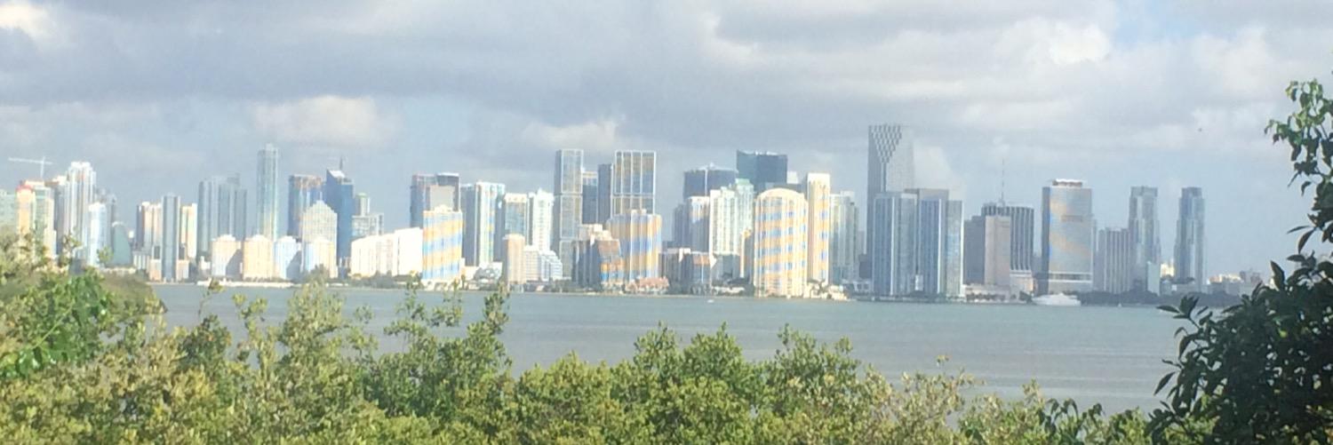 MiamiBeachDoug's profile banner image