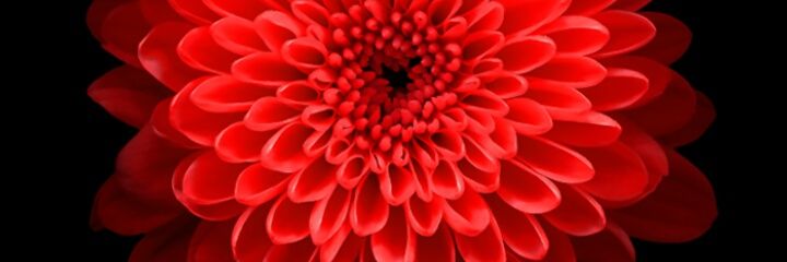 JbSadeeq's profile banner image