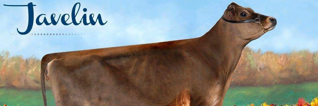 Besleafarms's profile banner image