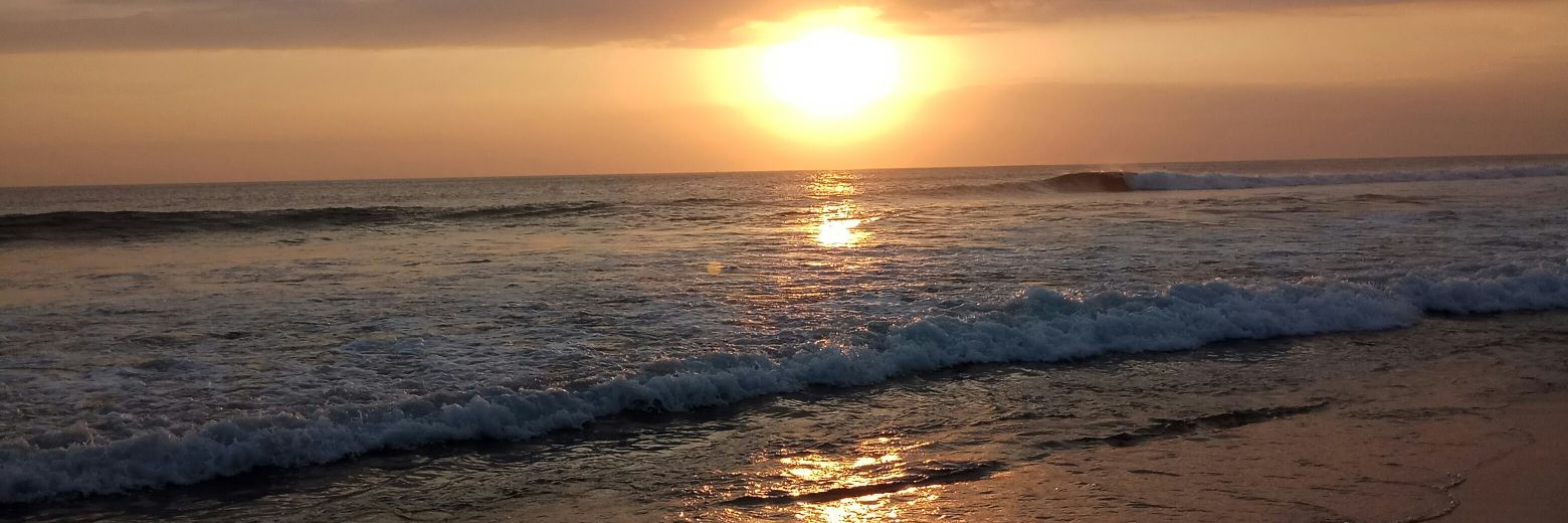 tigeranddolphin's profile banner image
