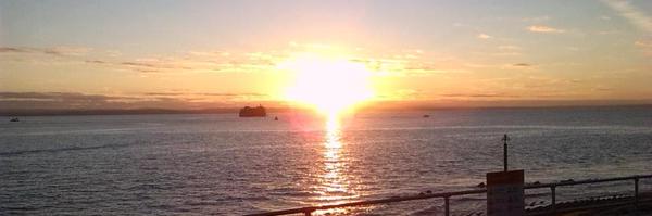 sandalsnosocks Profile Banner