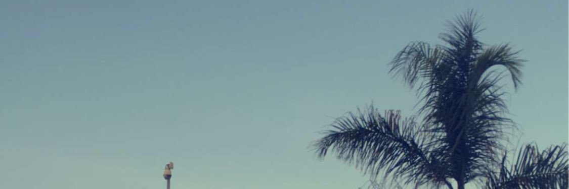 Rebecca Fitch banner