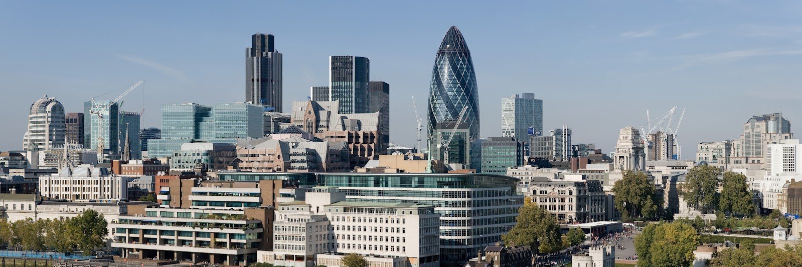 Mohammad Sajid Anwar banner