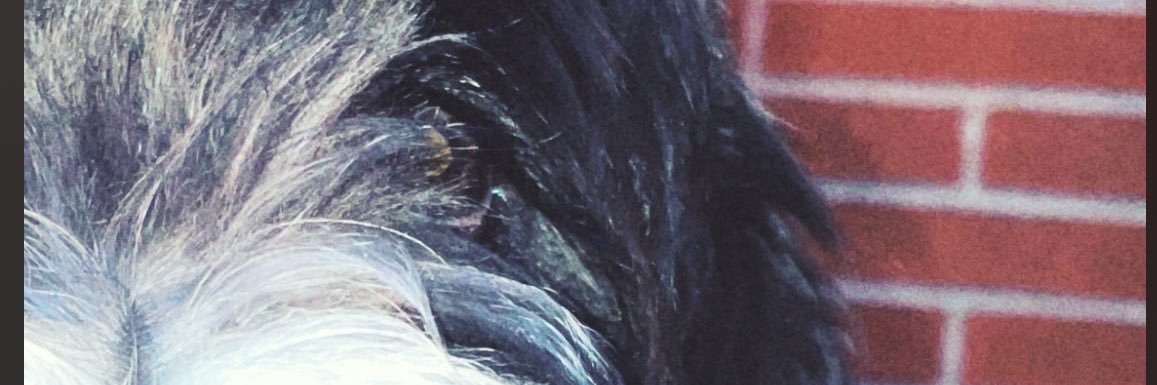 Jjaacks's profile banner image