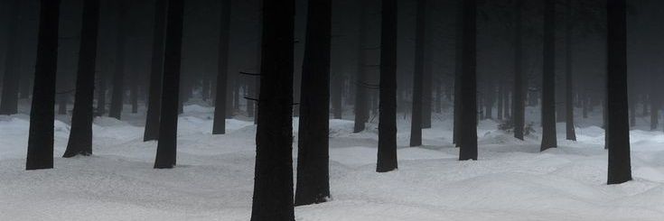 雪琪 (commission open)'s banner