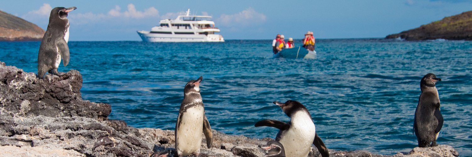 AndeanTravel's profile banner image