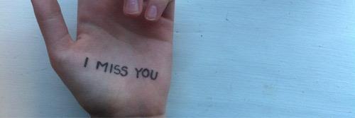 free follow, bio :) banner