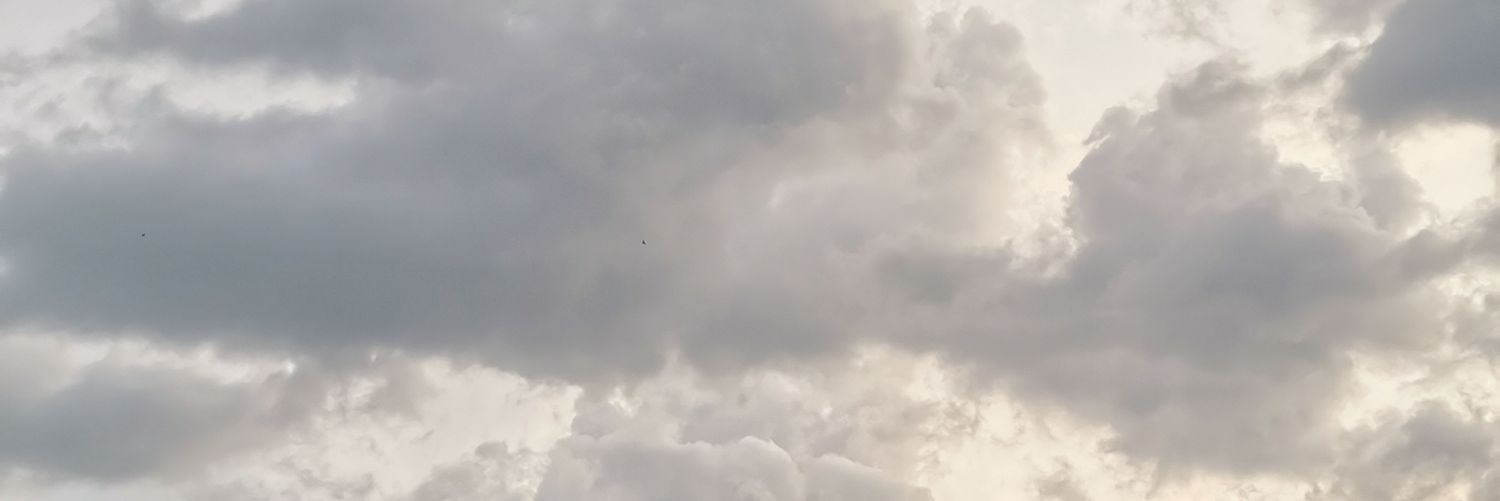CecilyaRunica's profile banner image