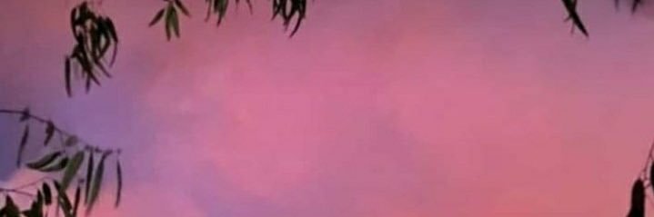 _molly_012's profile banner image