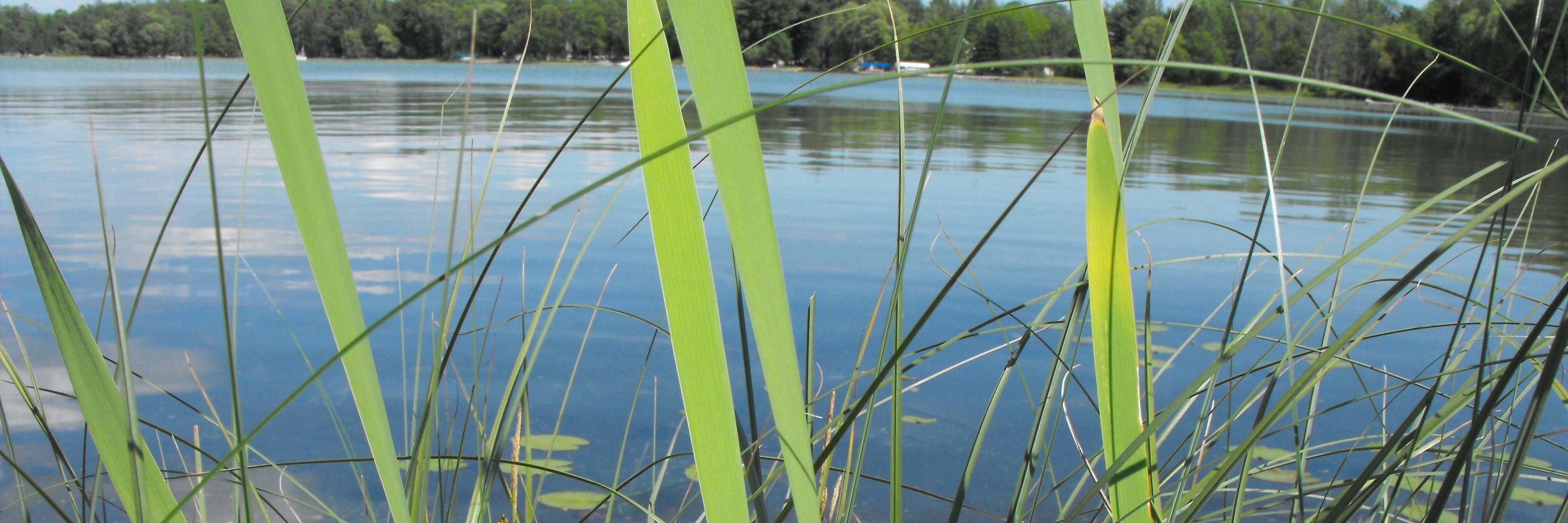 MaryLakeMusic's profile banner image
