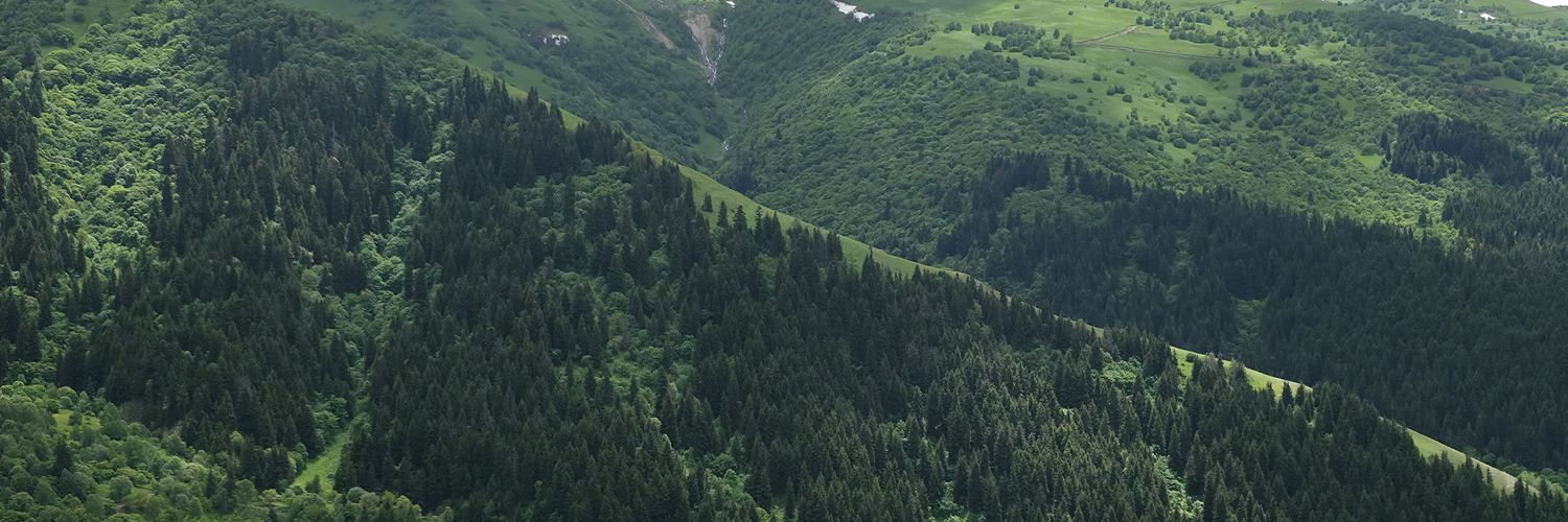 erhndmrrr's profile banner image