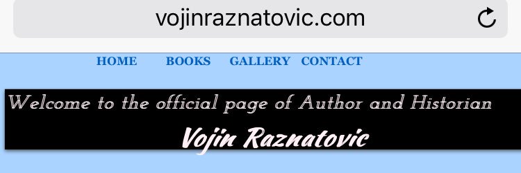 vojinraznatovic's profile banner image