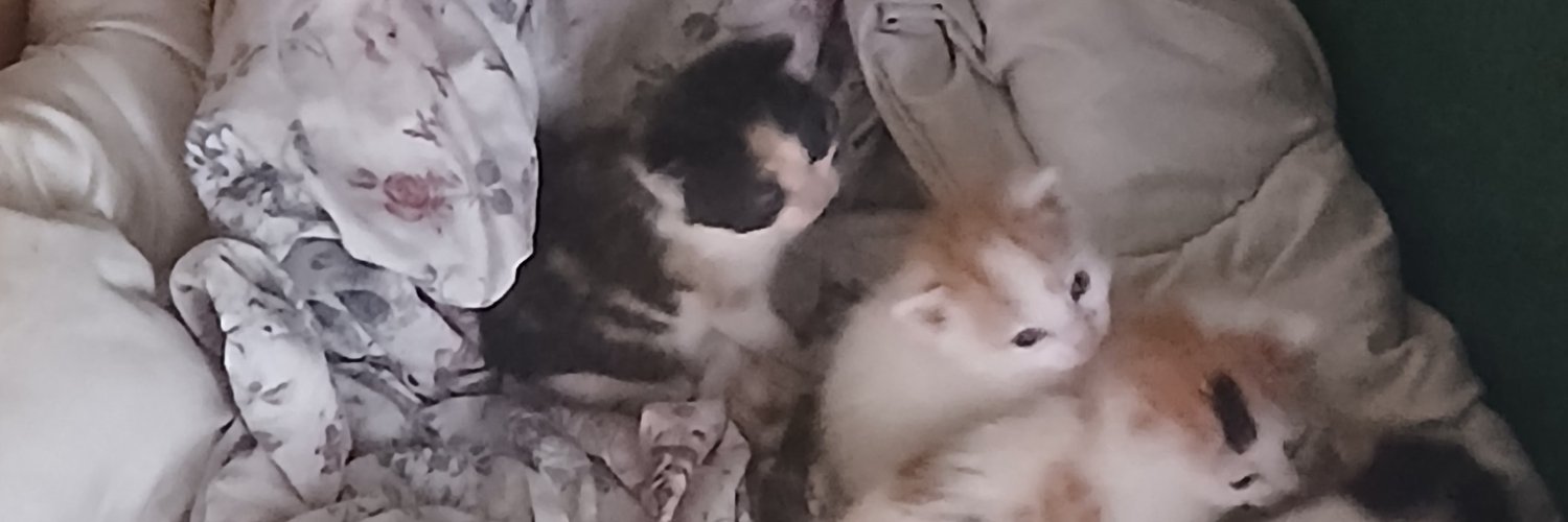 dabigkeoghowski's profile banner image
